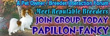 Join Papillon Fancy Group