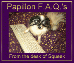 Papillon Frequenlty Asked Questions