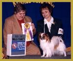 Forevr Papillon winning Best of Breed