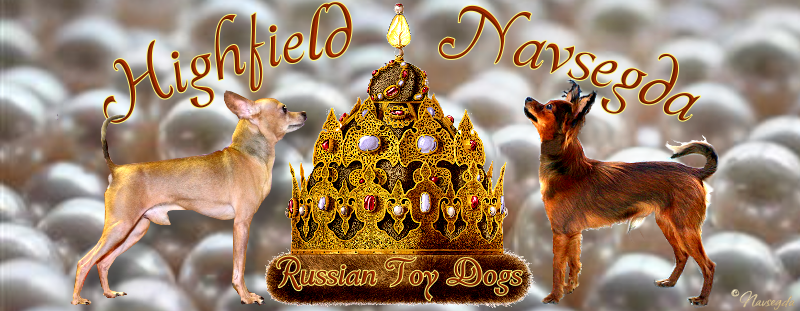 highfield russian toys