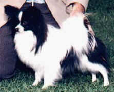 Riegel Thorn In My Side